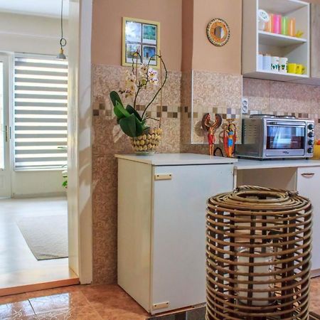 Bb Downtown Apartment Bajina Basta Kültér fotó