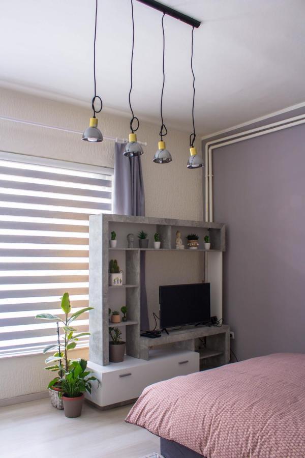 Bb Downtown Apartment Bajina Basta Kültér fotó