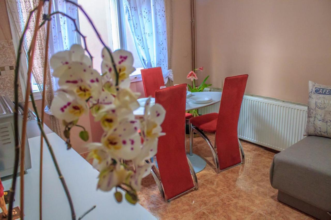 Bb Downtown Apartment Bajina Basta Kültér fotó