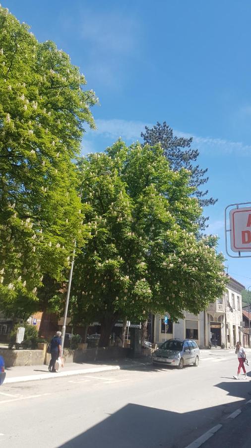 Bb Downtown Apartment Bajina Basta Kültér fotó