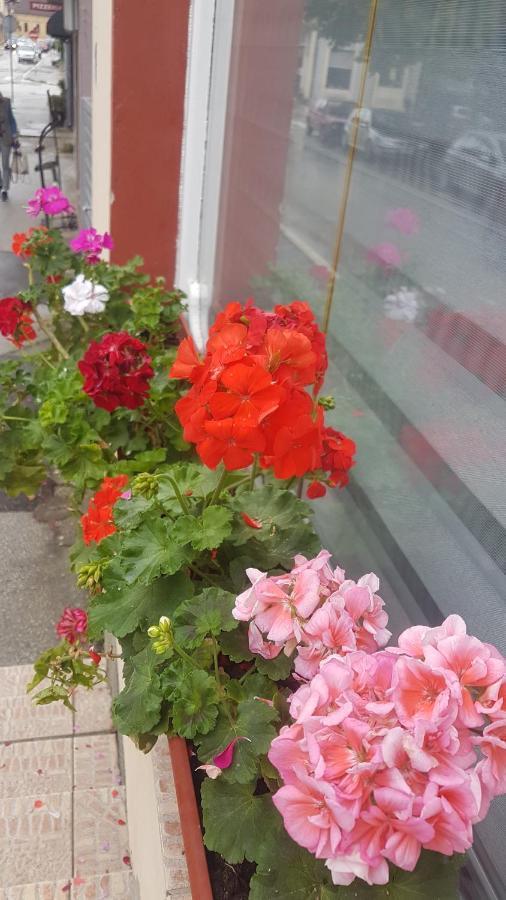 Bb Downtown Apartment Bajina Basta Kültér fotó